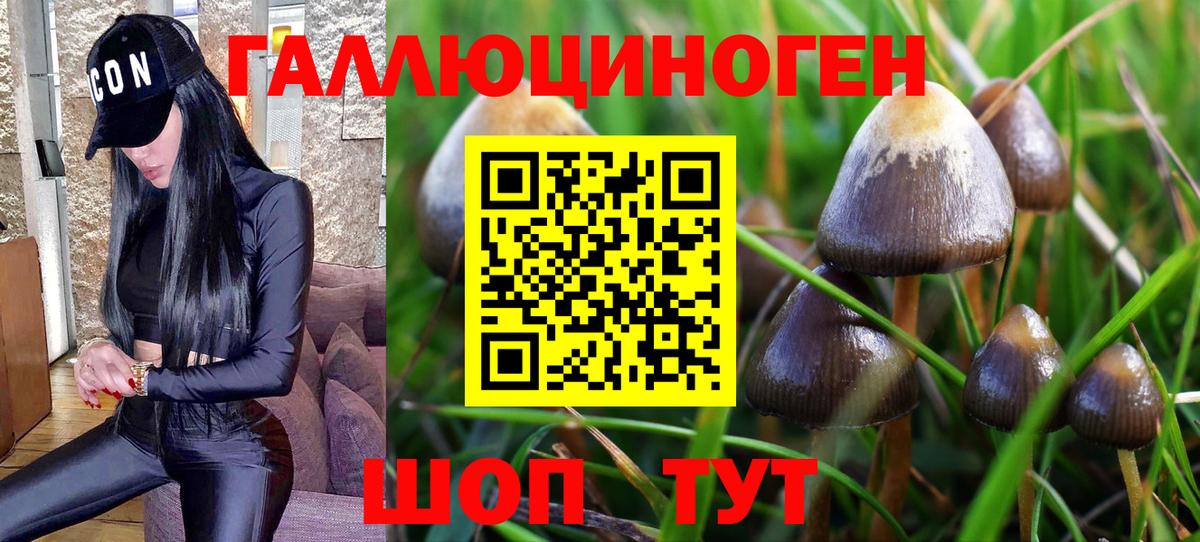 Галлюциногенные грибы прущие грибы Фролово