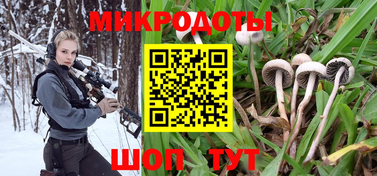 Псилоцибиновые грибы мицелий  Галлюциногенные грибы мухоморы  где найти наркотики  Вход с VPN  Фролово 